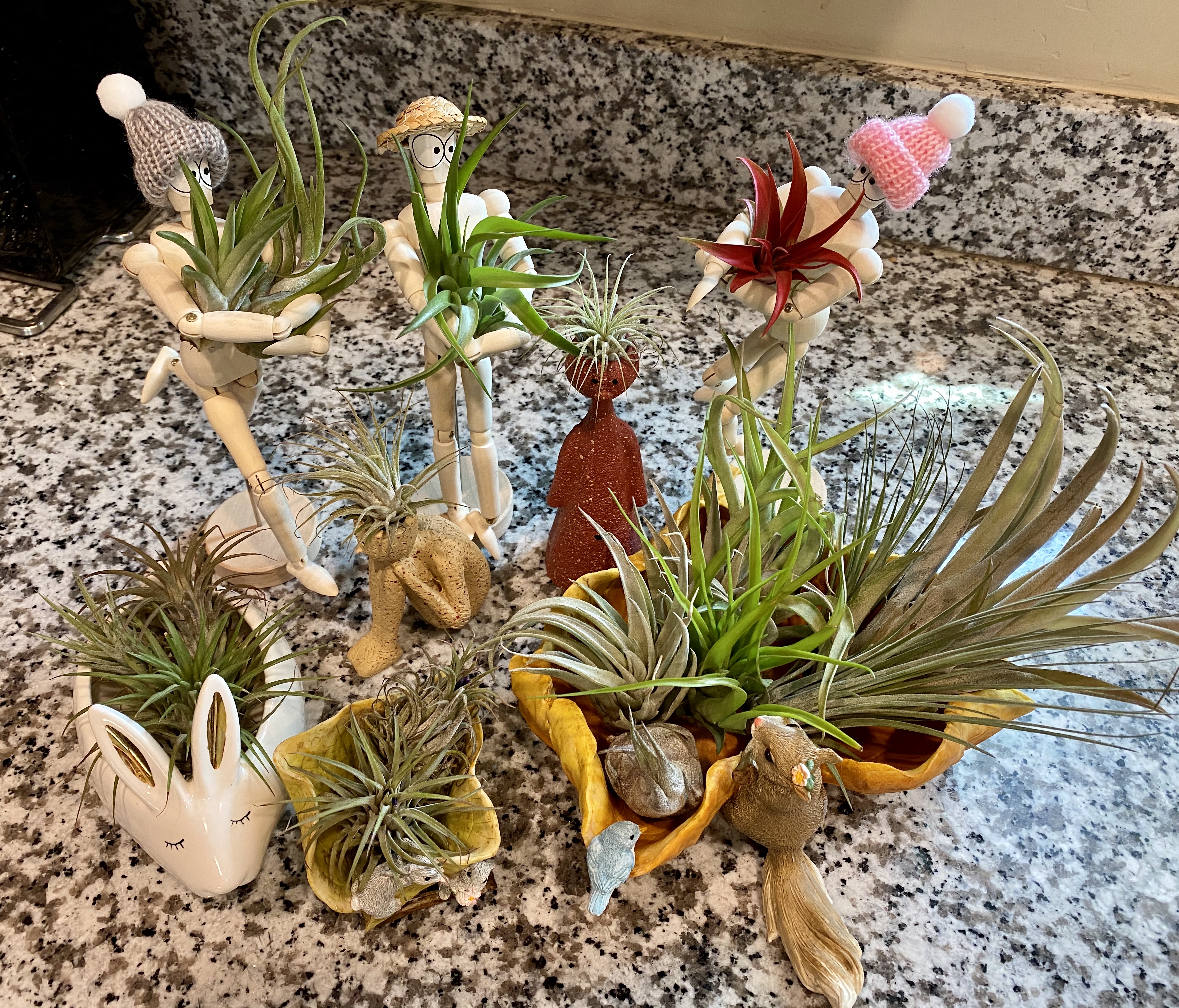 E-6000 Glue - 1/2 Ounce - Perfect for Tillandsia Air Plants