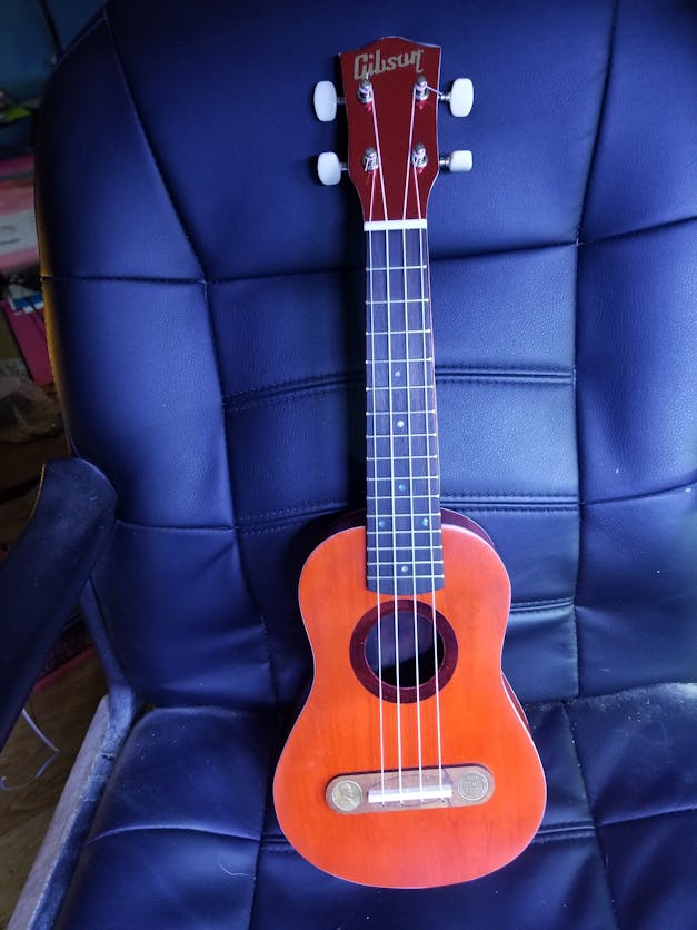 "Thin Ones" Cigar Box Guitar Bridge with vintage U. S. Wheat Pennies