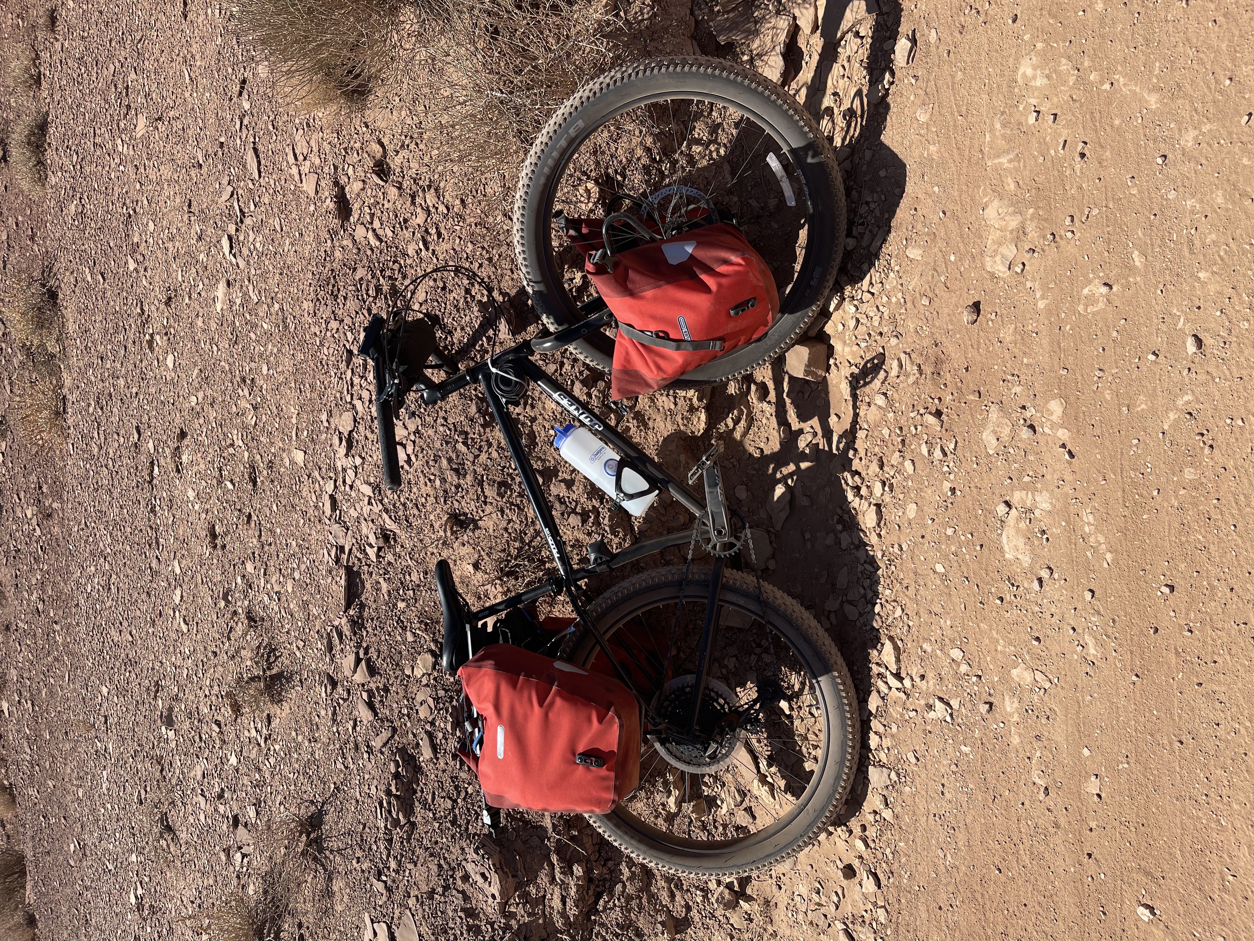 Rack Tubus Duo - Jones Bikes