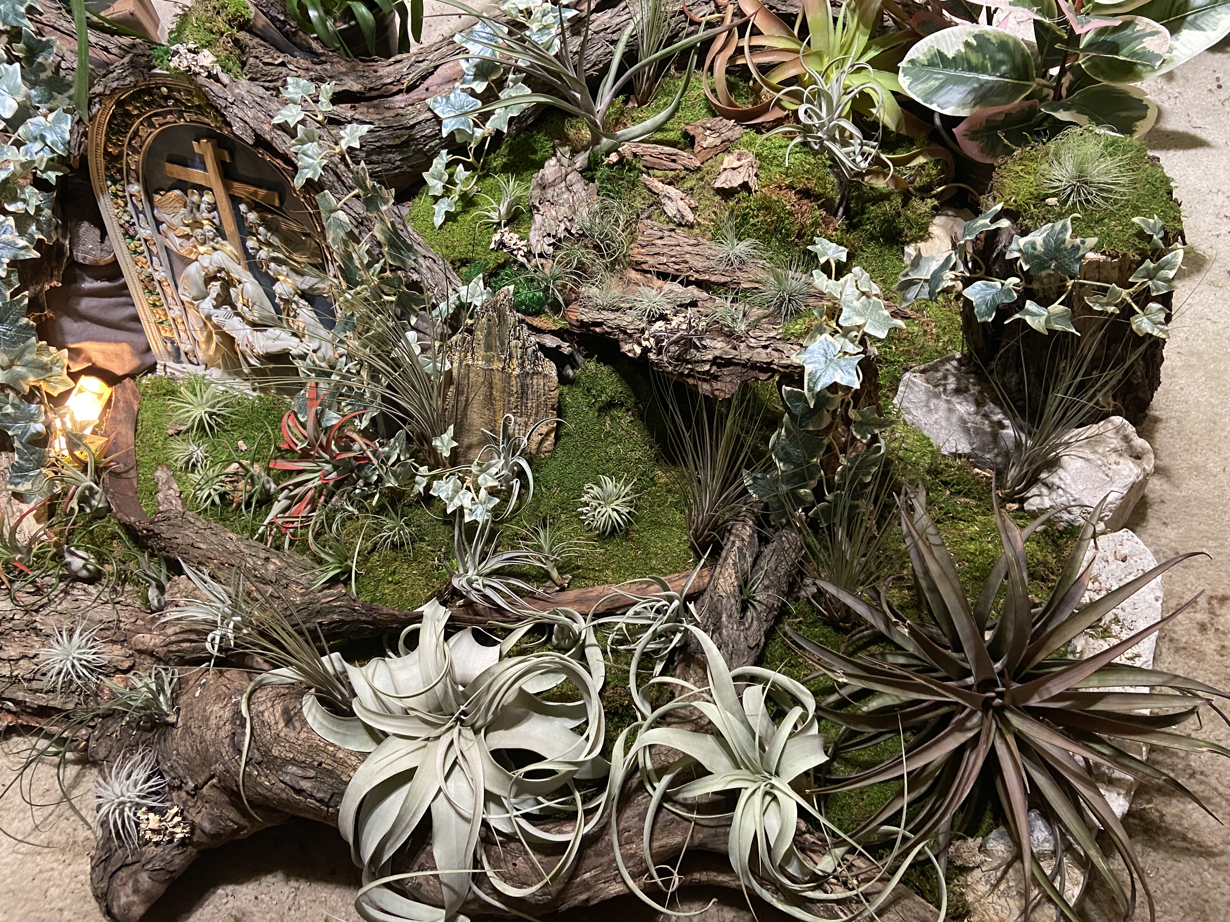 E-6000 Glue - 1/2 Ounce - Perfect for Tillandsia Air Plants