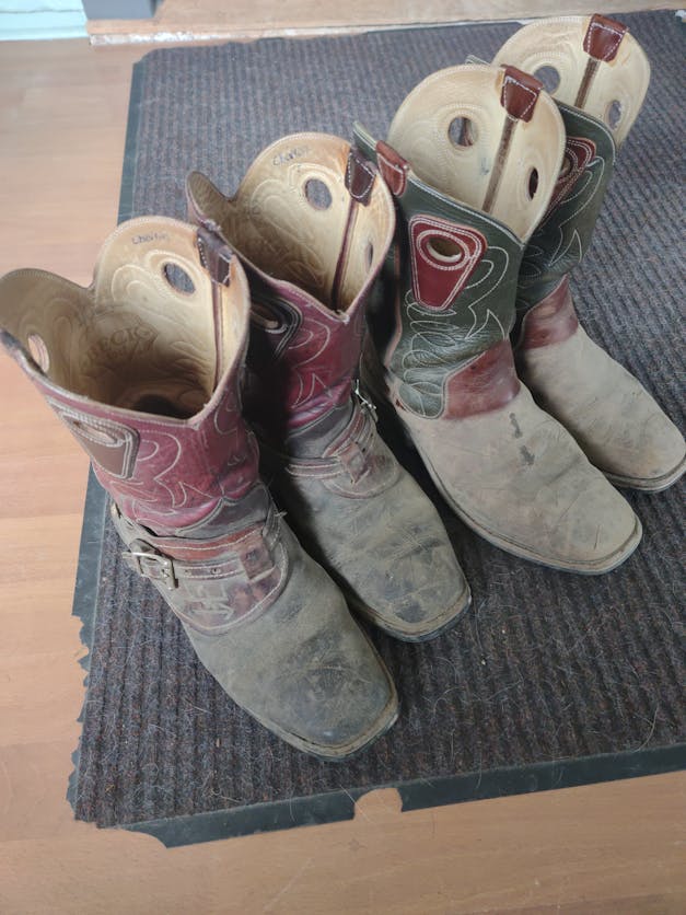 Beck Cowboy Boots