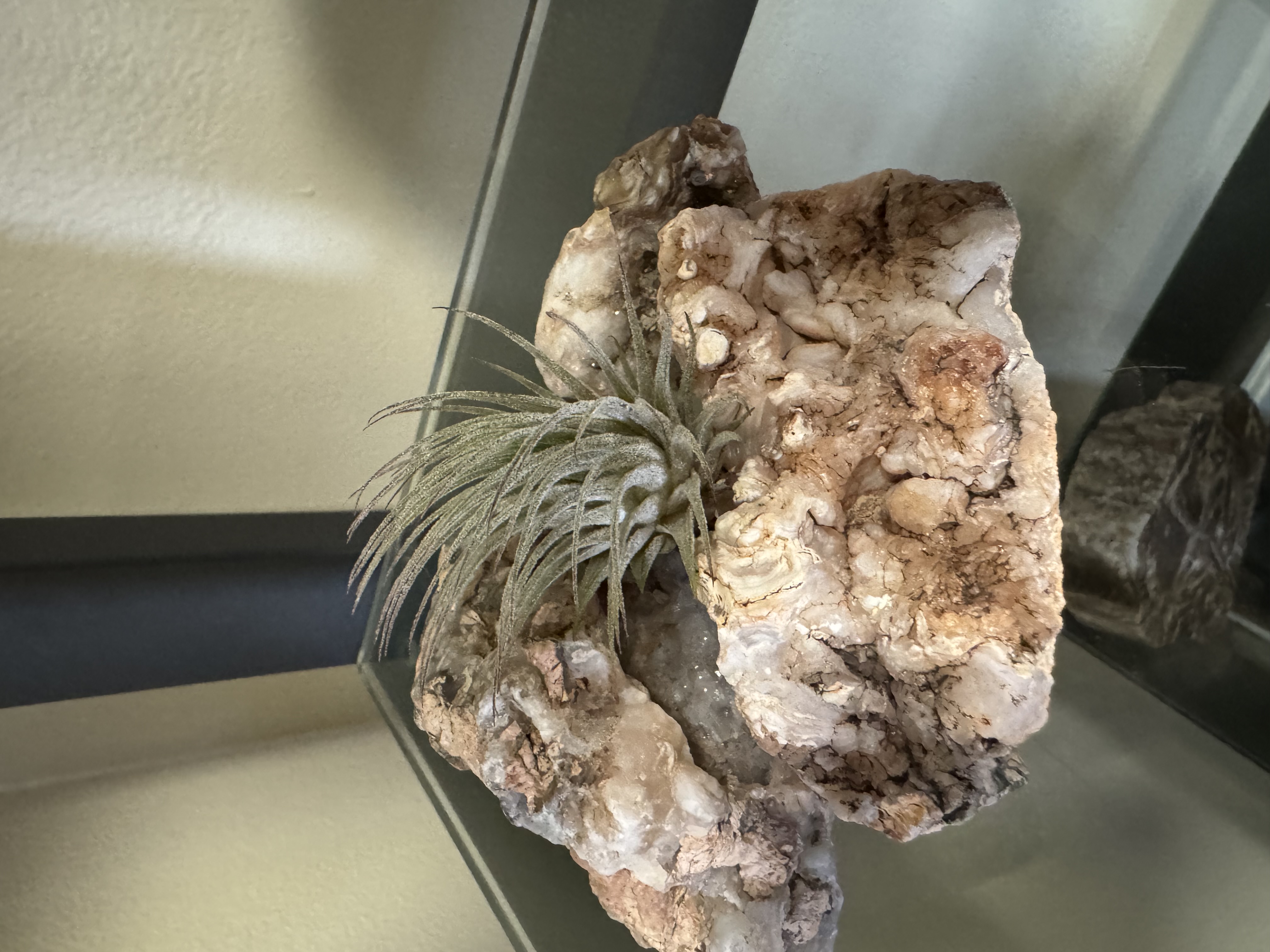 SURVEY_PHOTO_1700924841_2615ea