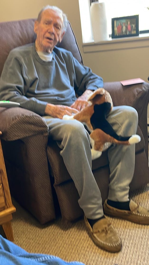 Beagle Companion