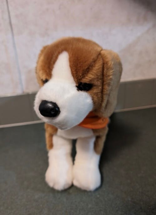 Beagle Companion
