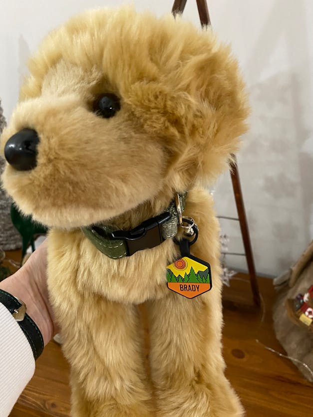 Golden Retriever Companion Pet