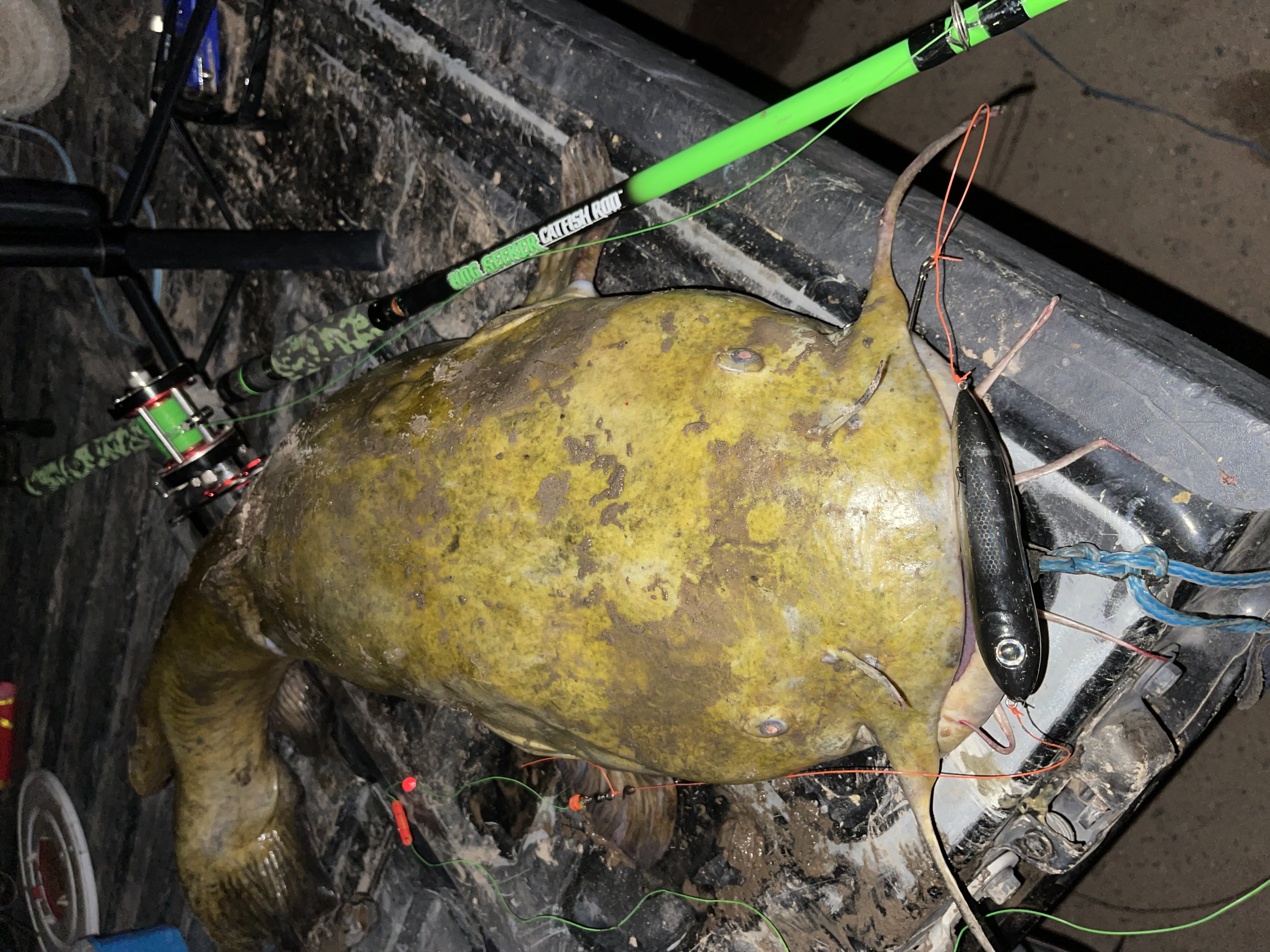 Sinker Slides Whisker Seeker Tackle