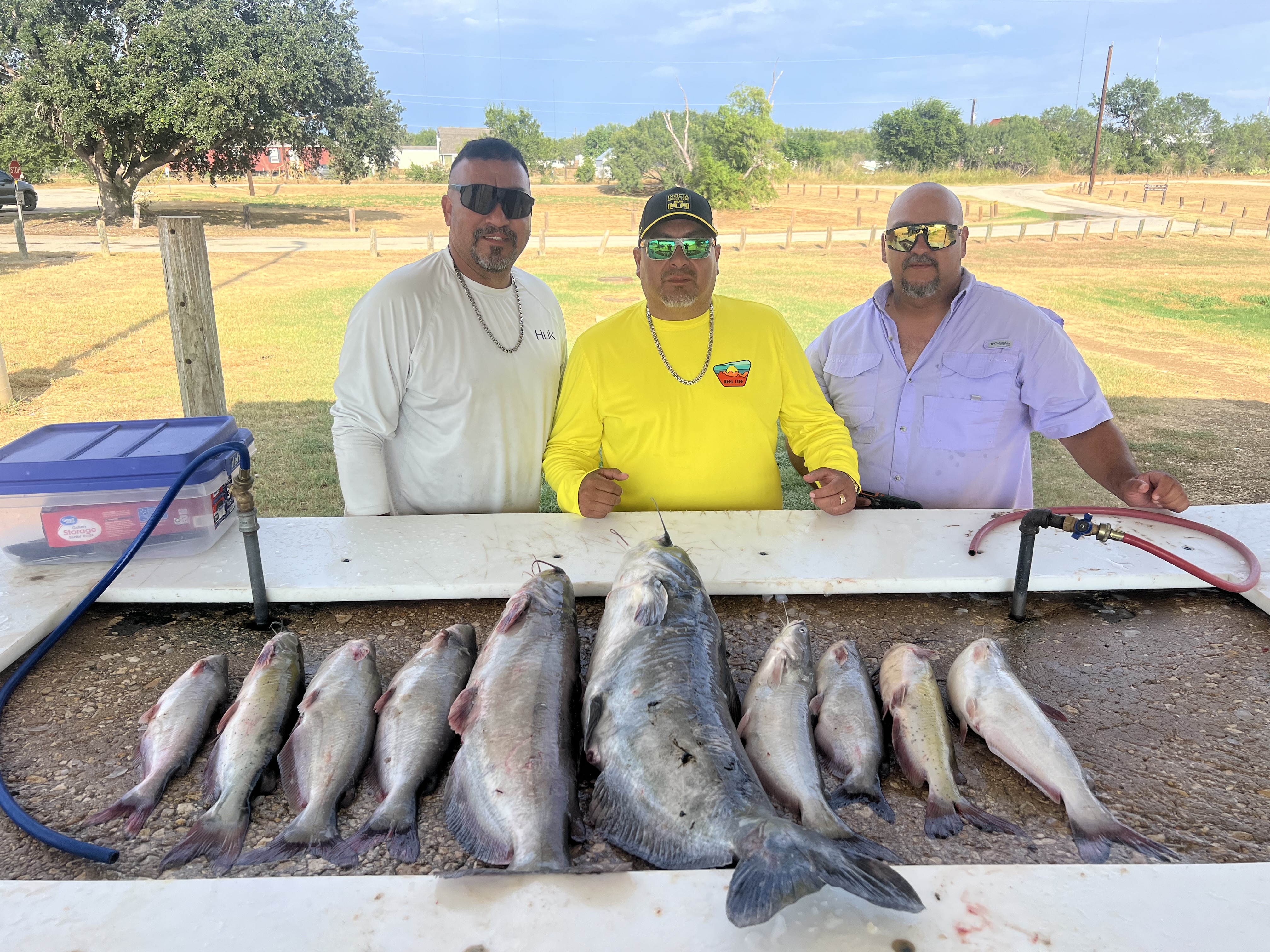 Whiskers Punch Bait – Best Catfish Prepared Bait for Trophy